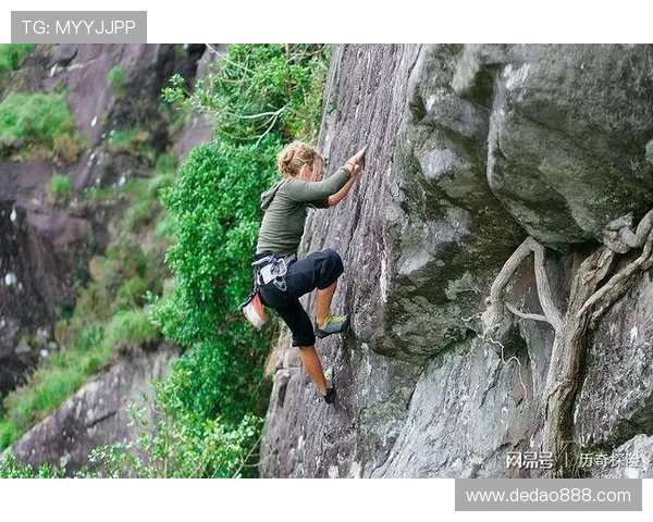 重庆攀岩队协作研究：提升团队配合与竞技水平的探索之旅