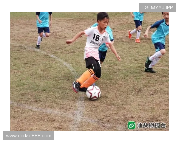 黄伟独家分享羽毛球技巧与心得助你提升竞技水平与比赛表现